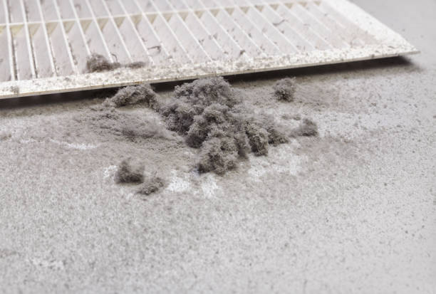 Best HVAC Duct Inspection Services  in Singac, NJ