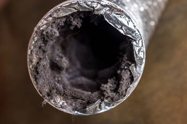 Best Best Air Duct Cleaning Company  in Singac, NJ